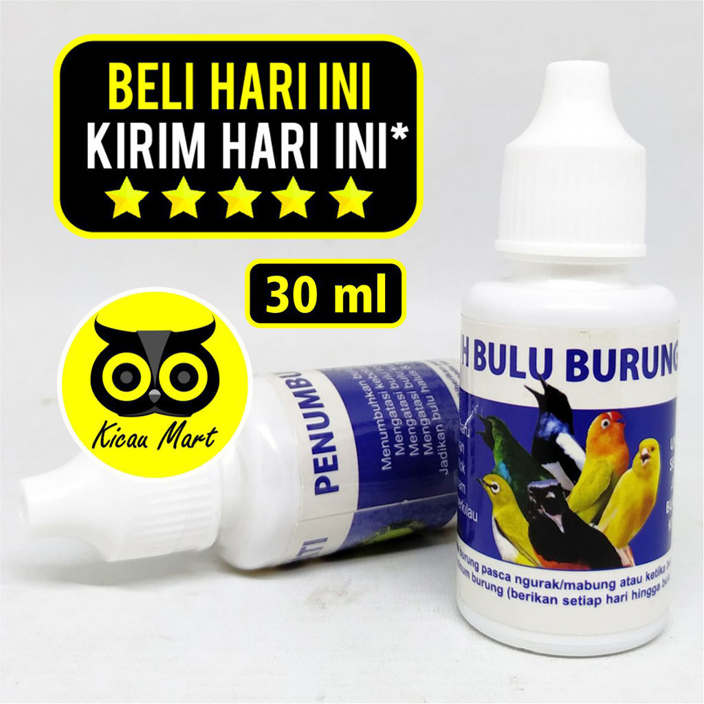 KICAU MART PENUMBUH BULU BURUNG SEMPATI OBAT CABUT BULU RONTOK KUSAM BOTAK UNTUK MURAI KACER LOVEBIR