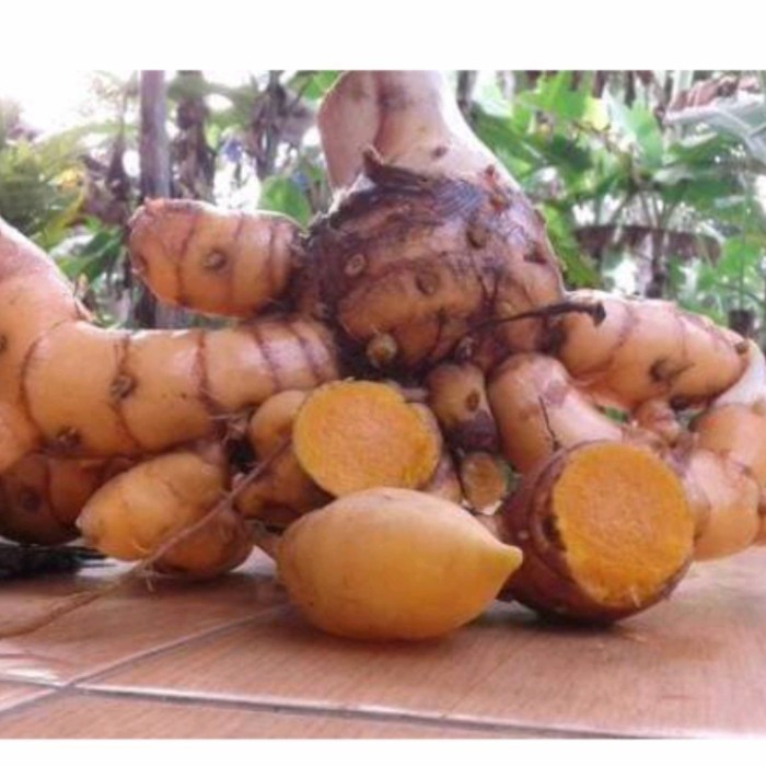 

TEMU LAWAK SEGAR PER 500GR KAK