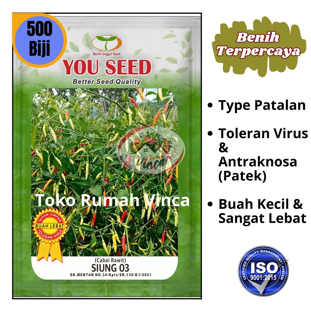 Benih Bibit Tanaman Cabai Cabe Rawit Setan tipe Patalan Tahan Virus SIUNG 03 500 Biji Cap You Seed