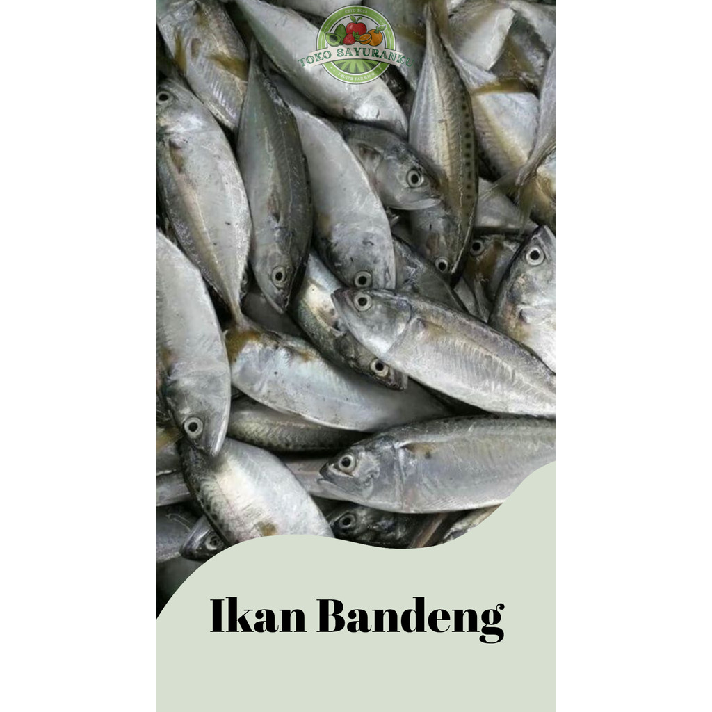 

Ikan Bandeng 500g Cimahi (sehari Sampe)