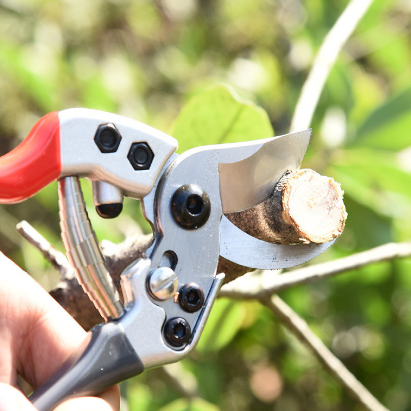 

Steel strong garden tree branch scissors Gardening pruning shears fruit tree pruning Bonsai gardening pruning shears