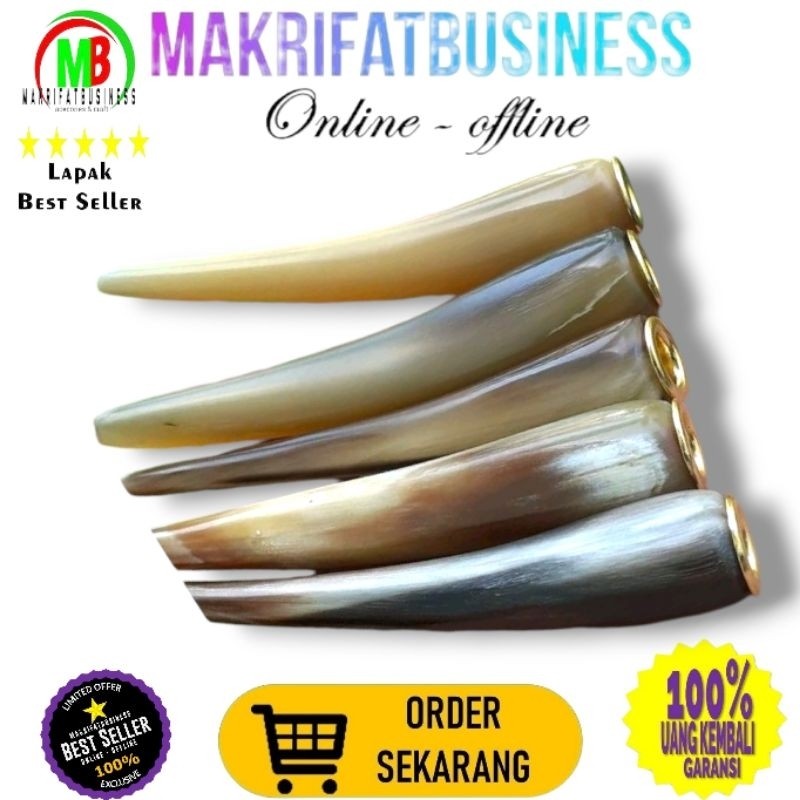 MAKRIFATBUSINESS Once Tanduk Kerbau Putih Super 9-10 cm sering disebut Pipa Tanduk Pipa Once Once Pi