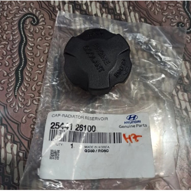 tutup tabung air radiator cadangan hyundai h1 parts