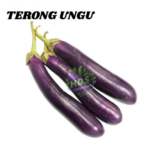 

Terong Ungu Segar 500gr - HDSFRESH
