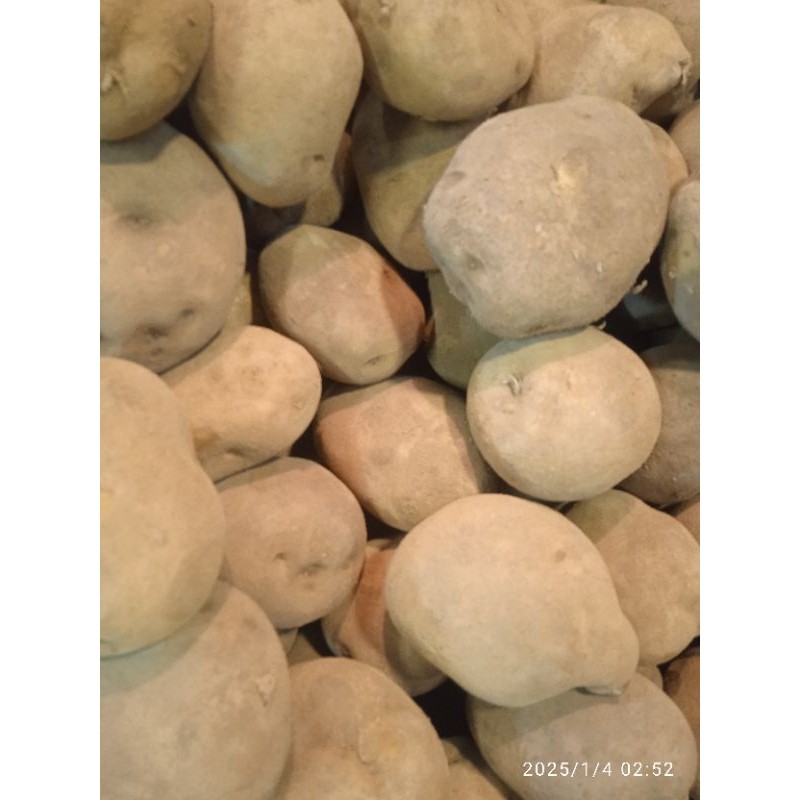 

KENTANG KUNING DIENG SUPER 1Kg