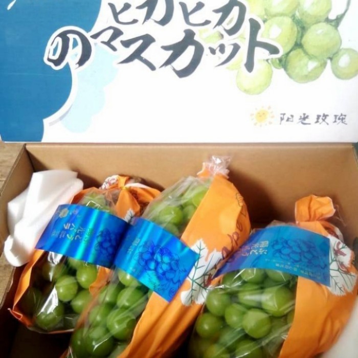 

anggur hijau shine muscat fresh per 1 dus buah