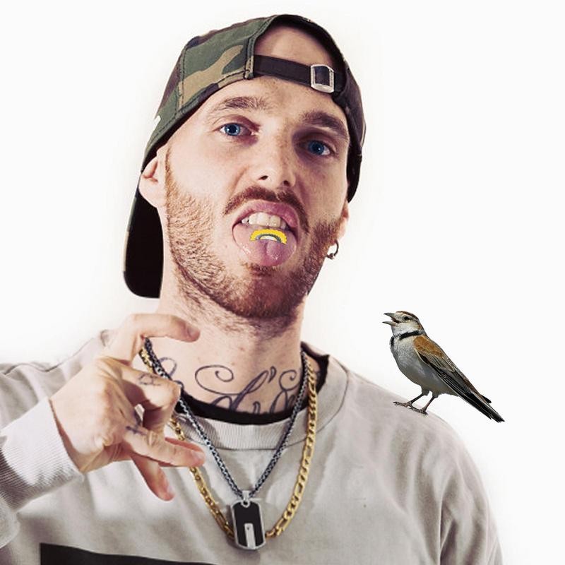 Novelty Toy Magic Birdcall 1 Bird Whistle Magic Fun Caller Tongue Warbler Original Magic Tweeting Noisemaker Toys Tricks Gift