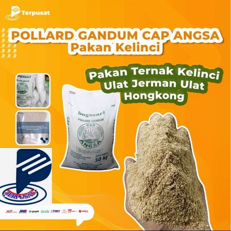 1kg Pollard Gandum Cap Angsa Dedak Polar Pakan Hewan Ternak Media Ulat Hongkong