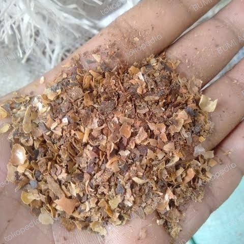 KULIT KOPI - Sekam Kulit Kopi Merang Kopi Pupuk Organik Pakan Ruminansia - 100 Gram - 1 Kg - 500 Gra