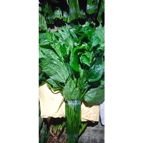 

Poh pohan 500gr