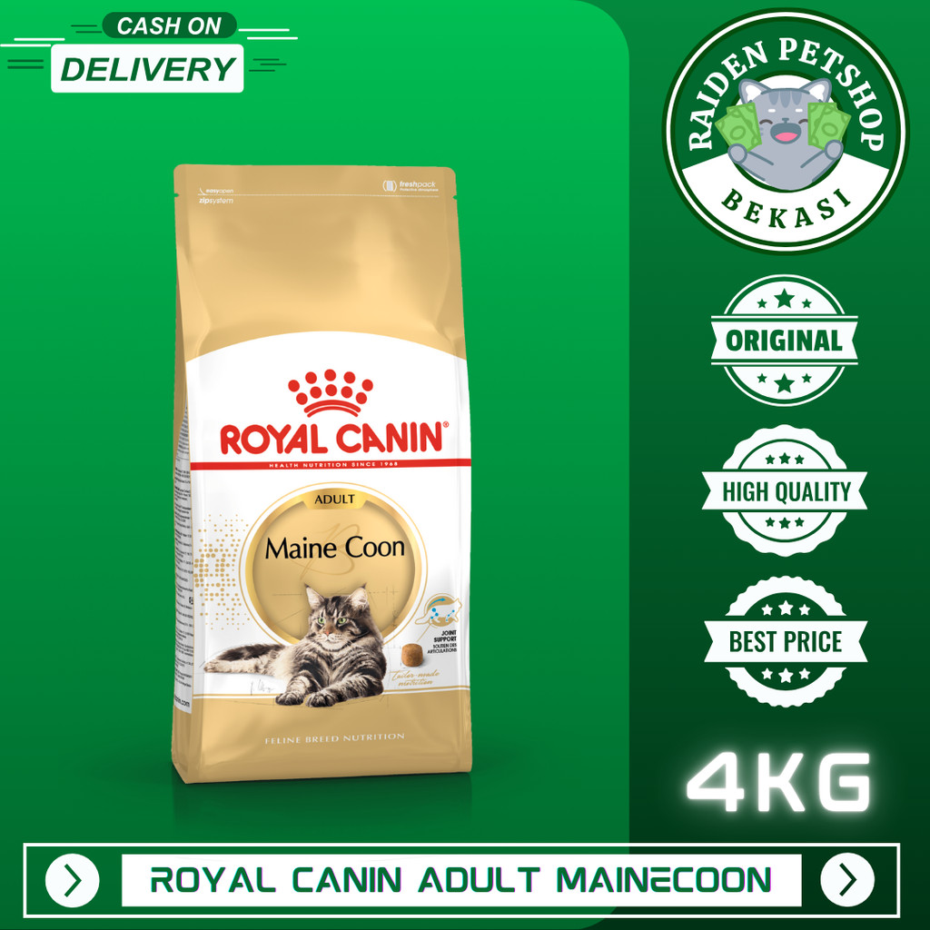 ROYAL CANIN MAINE COON ADULT 4KG