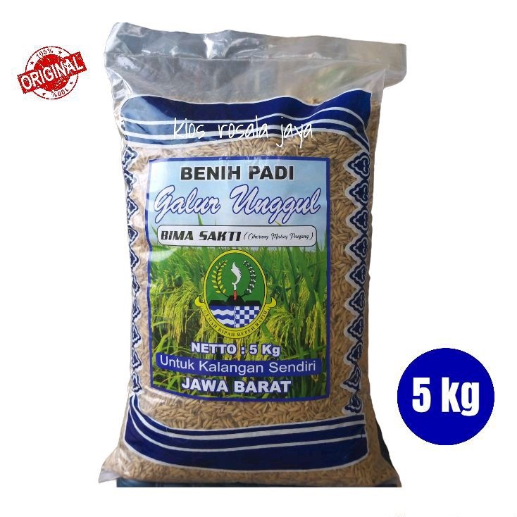 hl97uj Benih Padi terbaru BIMA SAKTI 5 kg ORI