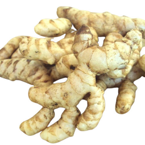 

kunyit putih segar 3 kg ready stok #fyp