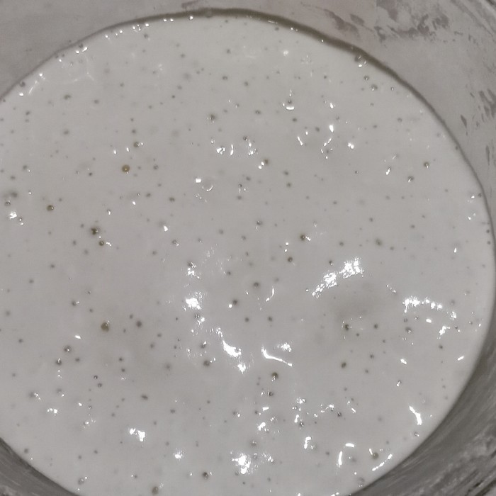 

ragi alami / sourdough starter murah @30gr