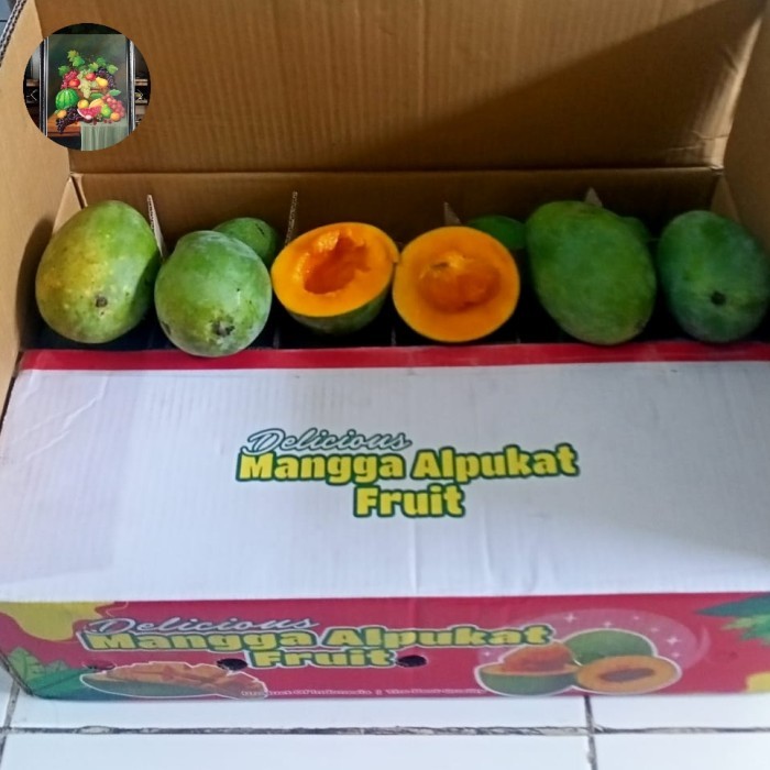 

Buah mangga alpukat manis klonal Pasuruan Jawa Timur /1dus