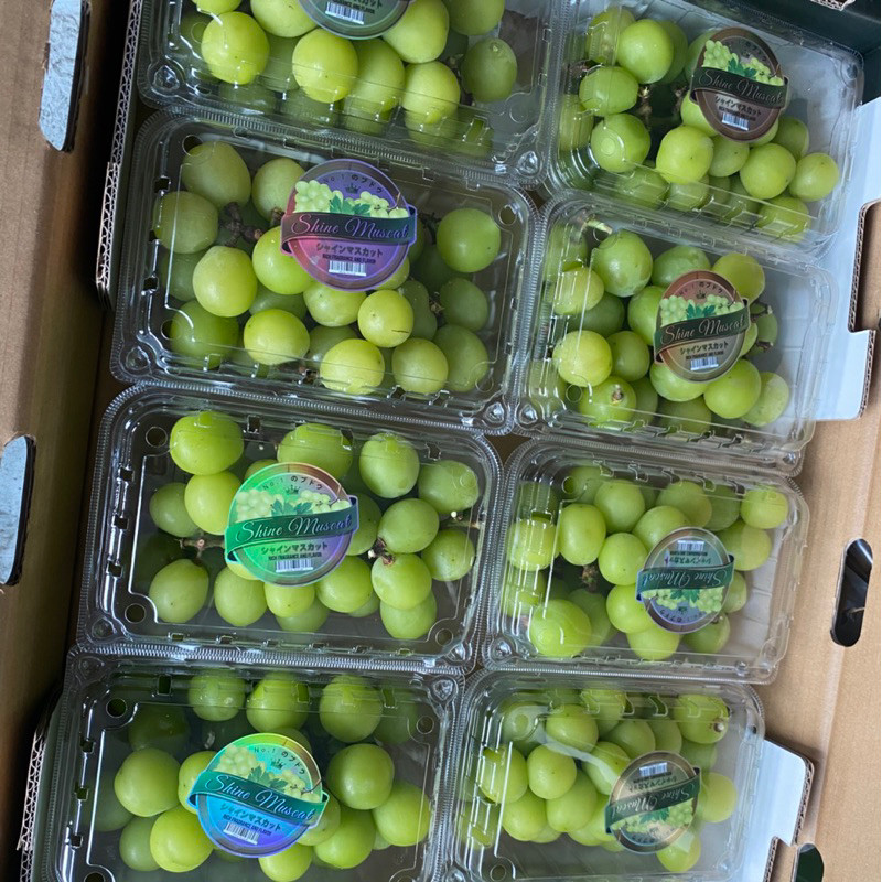 

BUAH ANGGUR MUSCAT PER DUS GROSIR