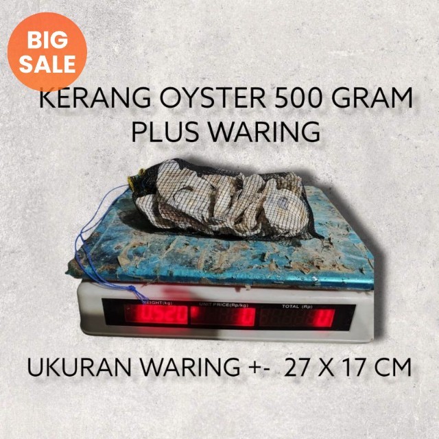 Oyster plus waring 500 gram / oyster / kerang oyster / cangkang kerang / media filter / media filter