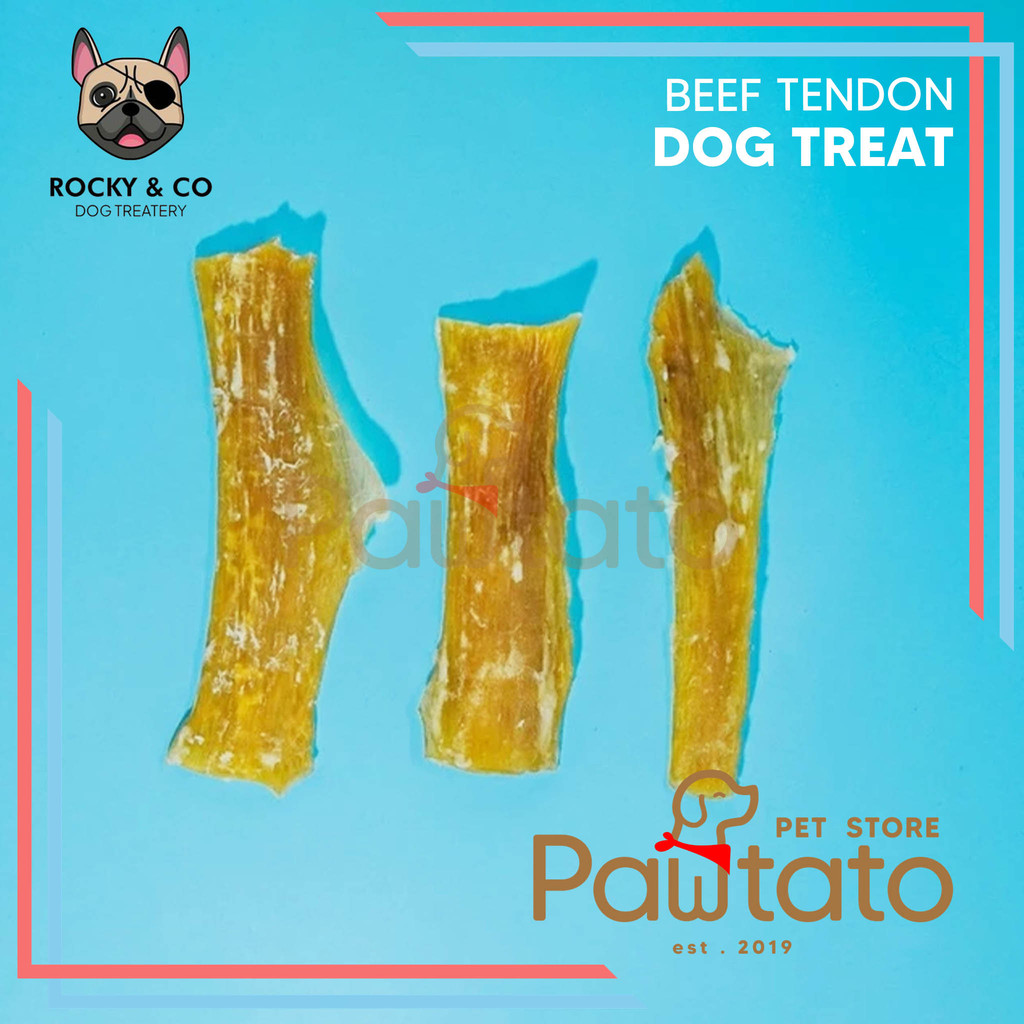 Snack Anjing Rocky Co Beef Tendon Puppy Dog Chew Treat Heavy Bite Urat Sapi Gigi Bersih Fresh PAWTAT