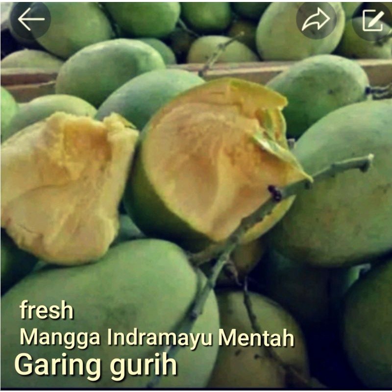 

PROMO AMBYAR MANGGA INDRAMAYU MENGKAL (1KG )COCOK UTK BUMIL.RUJAK.ASINAN TERMURAH