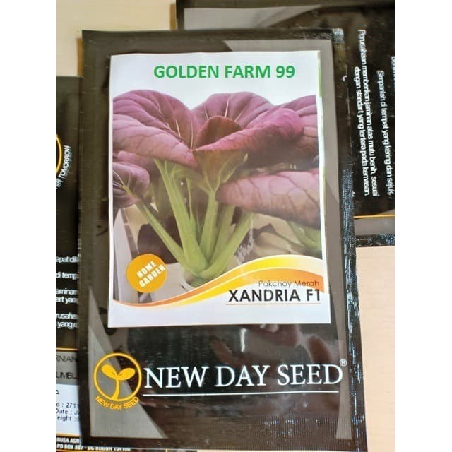 TERMURAH Jual benih pakcoy merah XANDRIA F1 New day seed