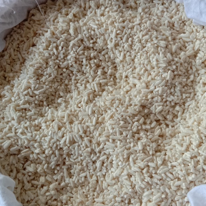 

kome koji/rice koji 350 gram