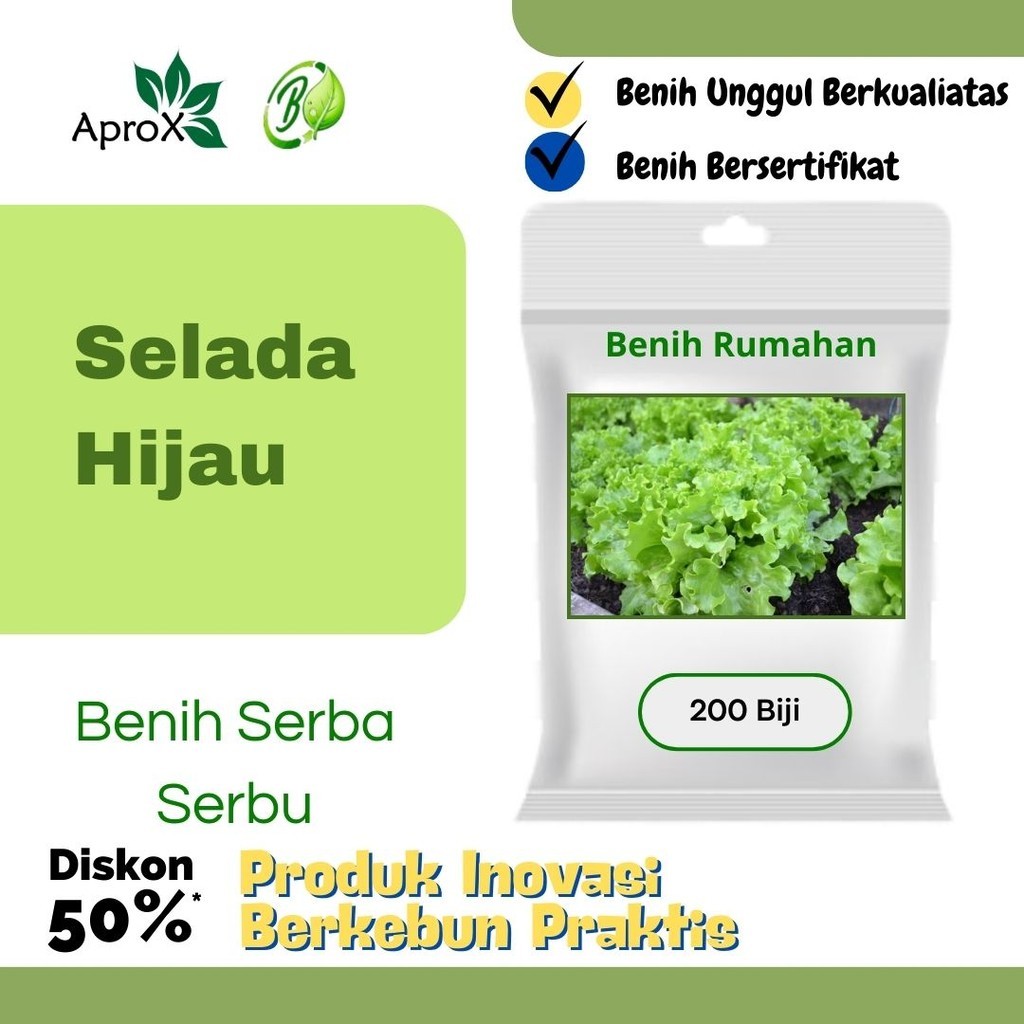 Benih Selada Hijau Sayur Sayuran Selada Hidroponik Bibit Tanaman Sayur Rumah Segar