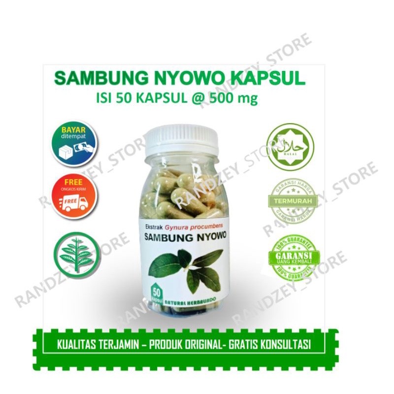 

Obat herbal tekanan darah tinggi kapsul sambung nyowo isi 50 jamu kanker tumor kolesterol diabetes jantung