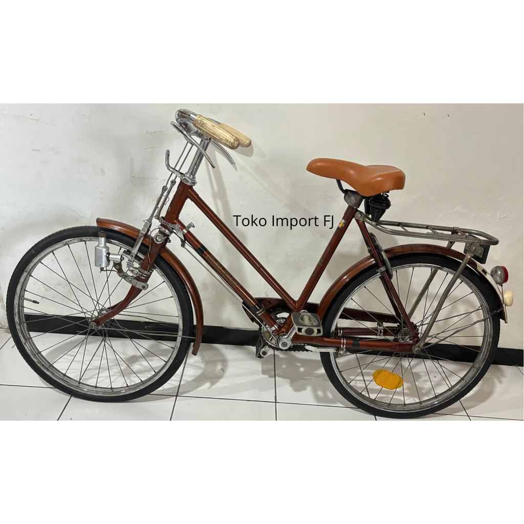 READY SEPEDA ANAK RALEIGH MOUNTIE 20 Inch SEPEDA KLASIK RALEIGH