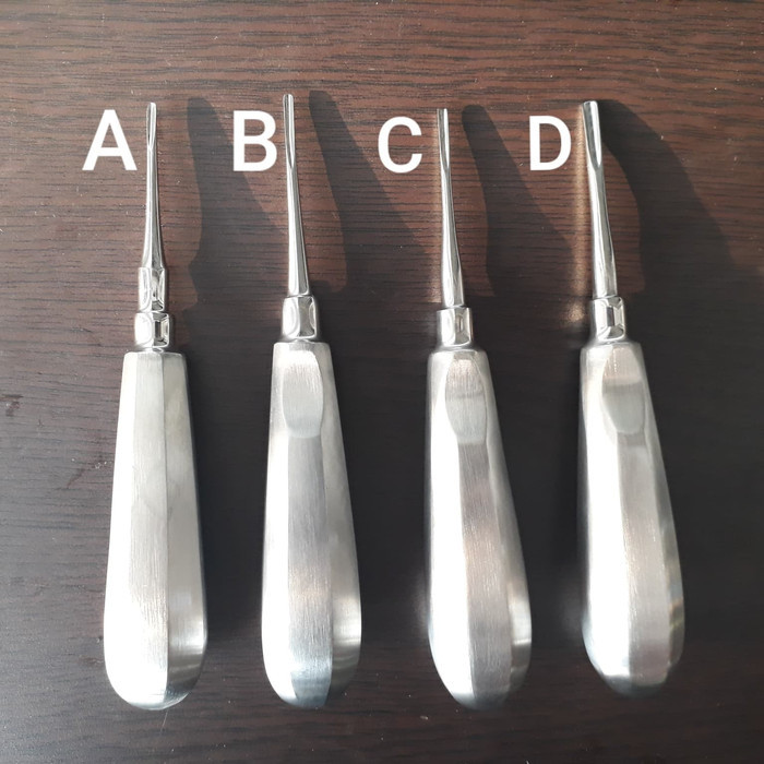 DENTAL BEIN LUXATOR SATUAN