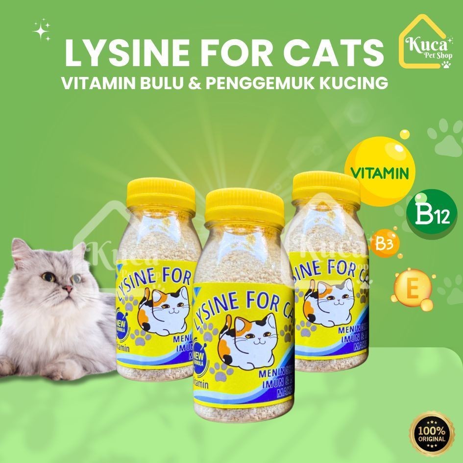 Vitamin Penggemuk Kucing Kitten Lysine Plus Vitamin Lengkap Adult Cats