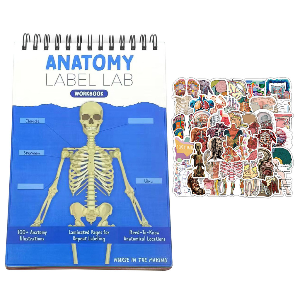 

Anatomy Label Lab Workbook 100+ Interactive Anatomy Illustrations Dry-Erase Pages Notebook Gift for Medical Nursing Students