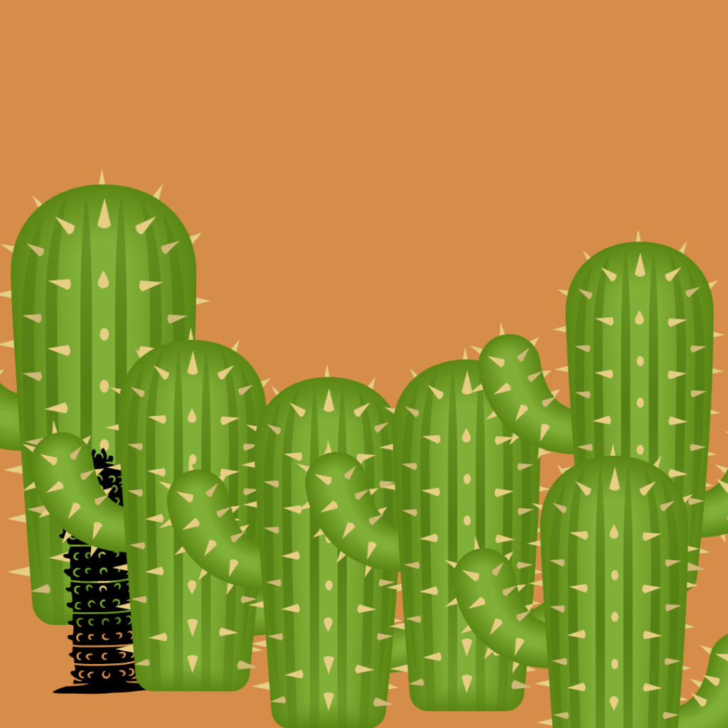 

Produk sedang laris !! buruan di CO kertas kado motif kaktus ~olo_jakstore