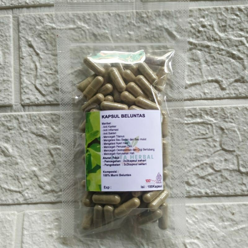 

Kapsul Beluntas Isi 100 Asli Herbal