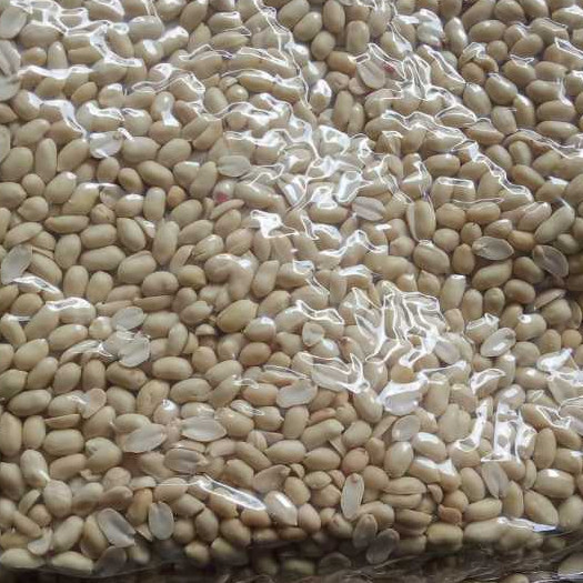 

Kacang Tanah Kupas Mentah, Kacang Kupas Bersih - Ukuran 41/51 Besar