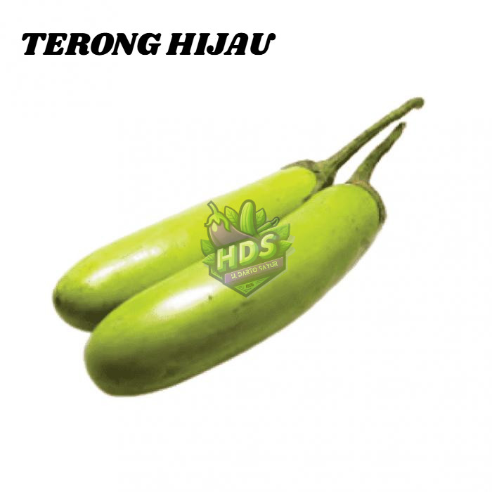 

Terong Hijau - HDSFRESH