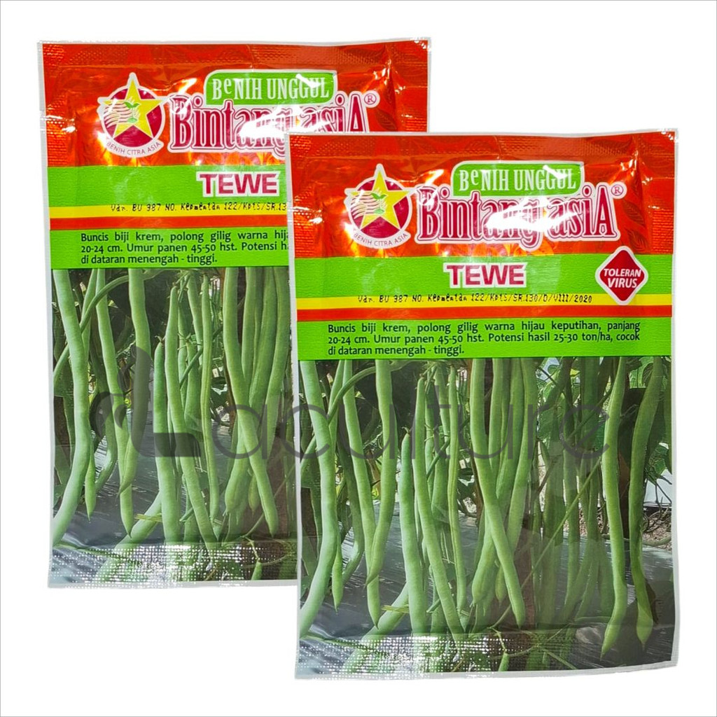 BENIH BUNCIS TEWE 100 GRAM - BINTANG ASIA