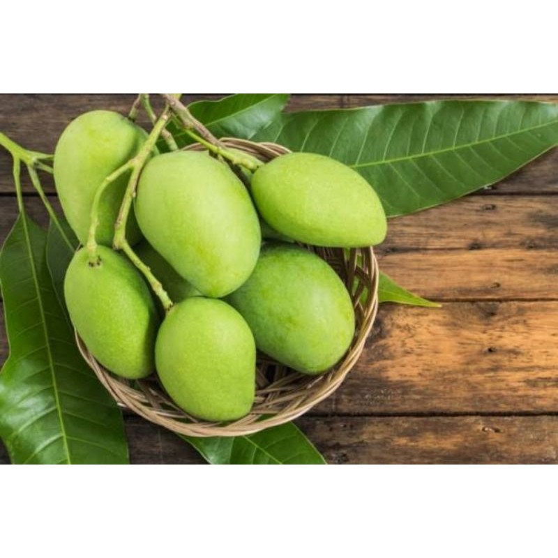 

HARGA SSPESIAL mangga muda/rujakmangga/mangga rujak/buahmangga TERLARIS