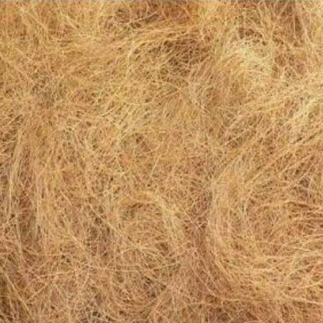 MEDIA TANAM SABUT KELAPA SUPER 1KG (Galery Sabut kelapa)#1