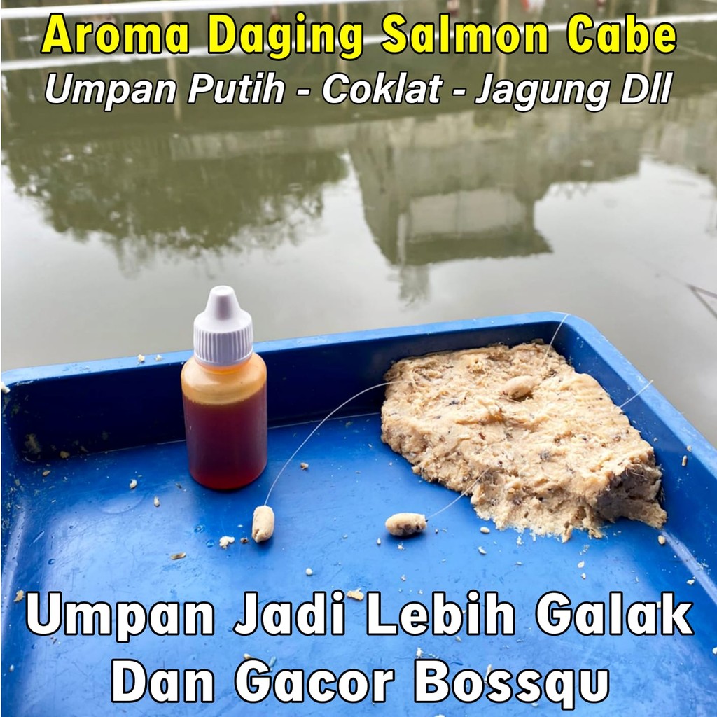 Essen Super Premium Khusus Ikan Mas Harian Dan Lomba Essen Khusus Ikan Mas Paling Bagus Essen Khusus