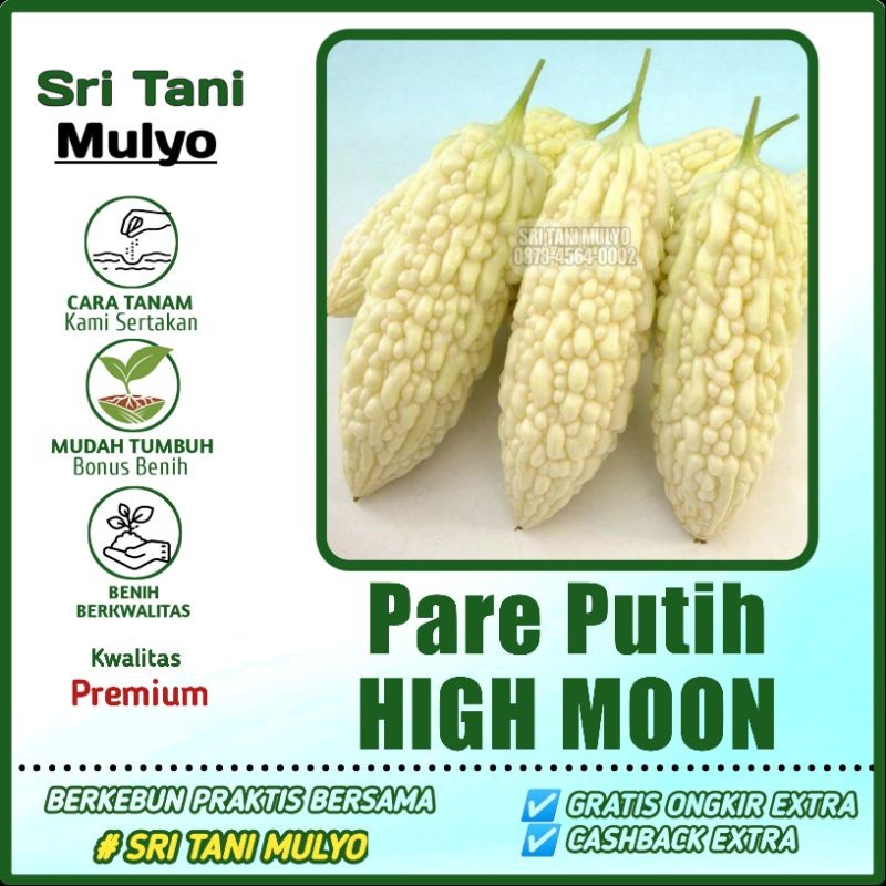 Benih Bibit Pare Putih HIGH MOON - Bibit Tanaman Sayur Sayuran Pare Paria Unik Pare Raden Gambas