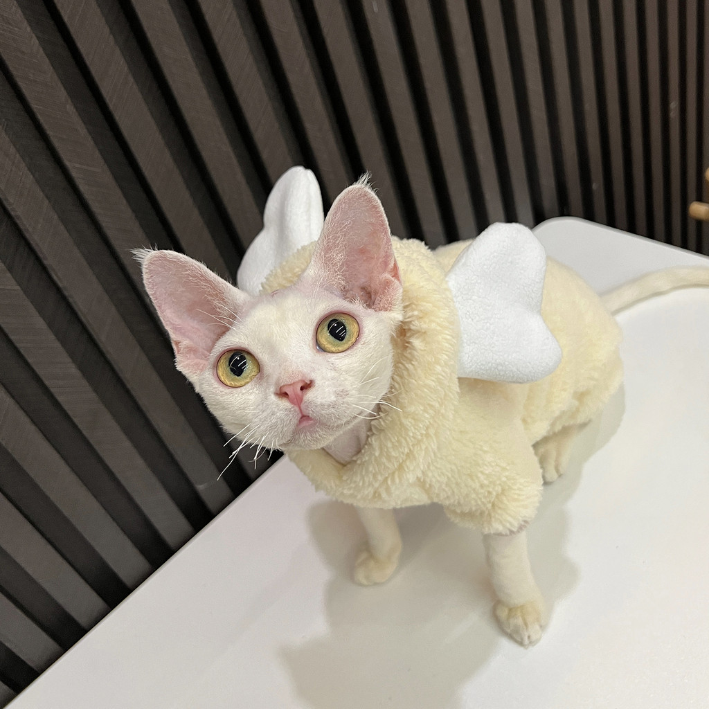Cat Clothing Soft Winter Sweater for Sphynx Cat Warm Plush Loungewear for Kittens Cute Long Sleeves 