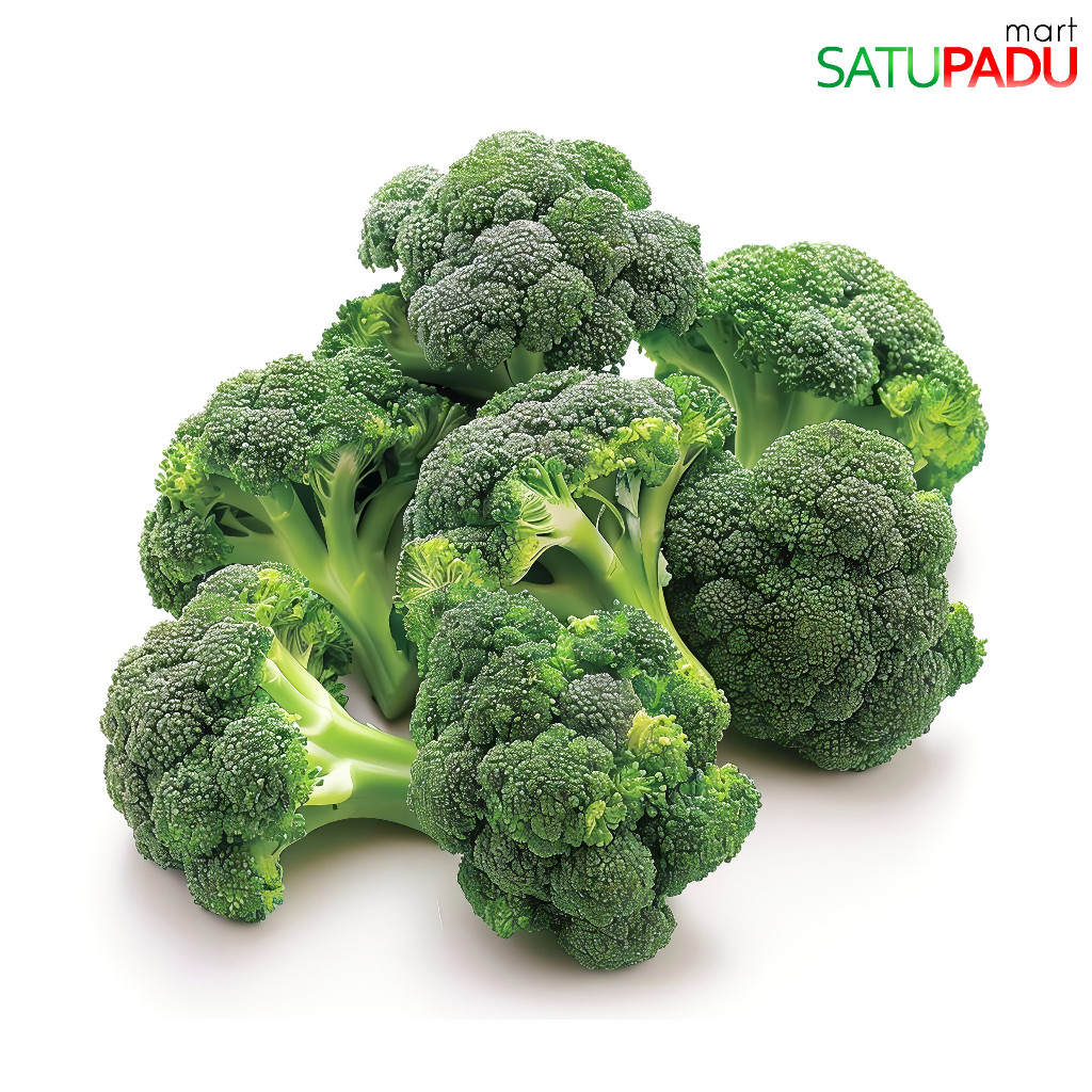 

satupadu mart - Sayur Brokoli Fresh Segar | Brokoli Hijau Segar
