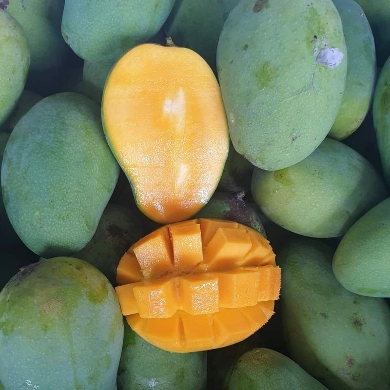 

PROMO AMBYAR mangga harumanis dikirim meengkal per 1kg TERMURAH