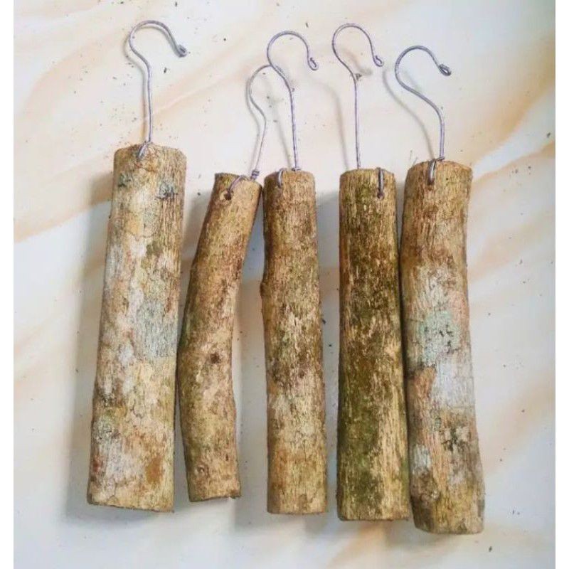 media tanam anggrek kayu kopi - media tanam anggrek gantung kayu kopi