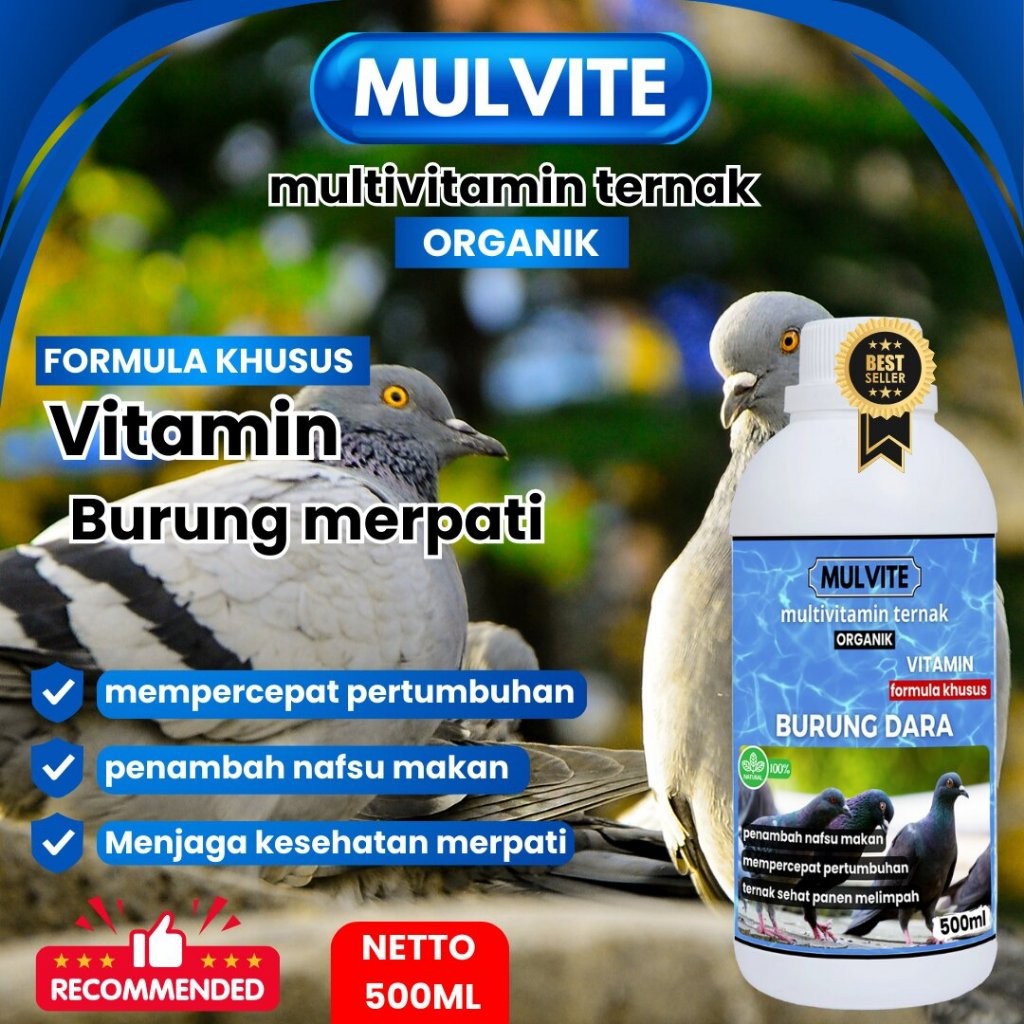 MULVITE Vitamin Burung merpati Agar Cepat Bertelur Obat Betina Anti Macet Nelur Untuk Ternak Breedin
