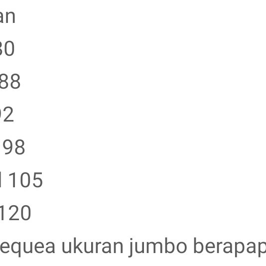 

✨LARIS✨ -KEBAYA KUTUBARU BUNGA - Peach