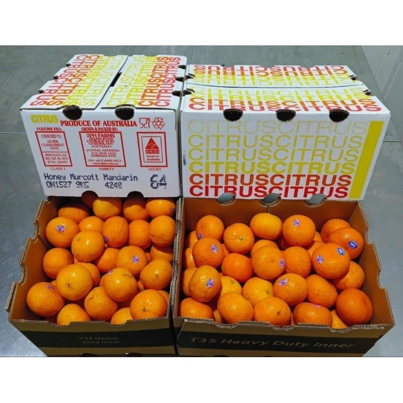 

Jeruk Murcot Impor Impor 5 pcs fruits
