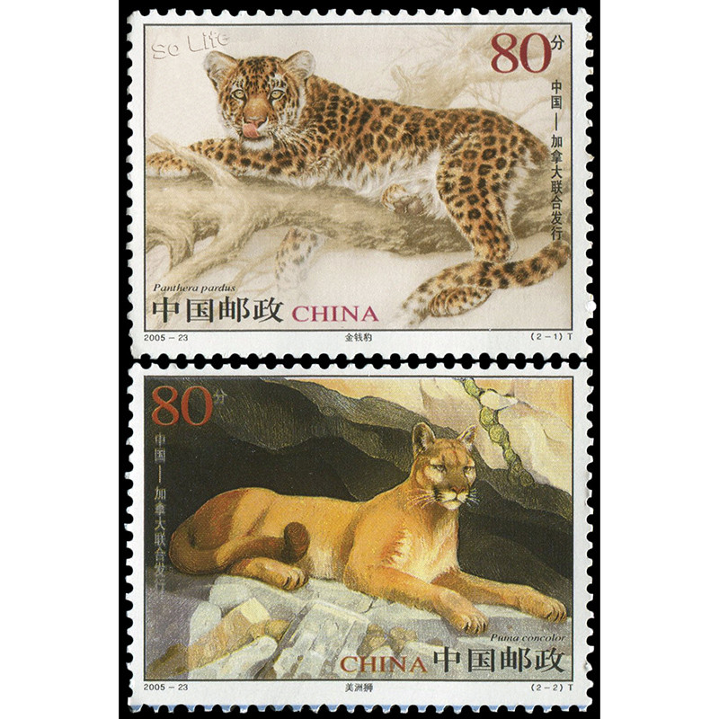

2005-23 , Leopard and Cougar , Souvenir Sheet . Post Stamps , Philately , Postage , Collection