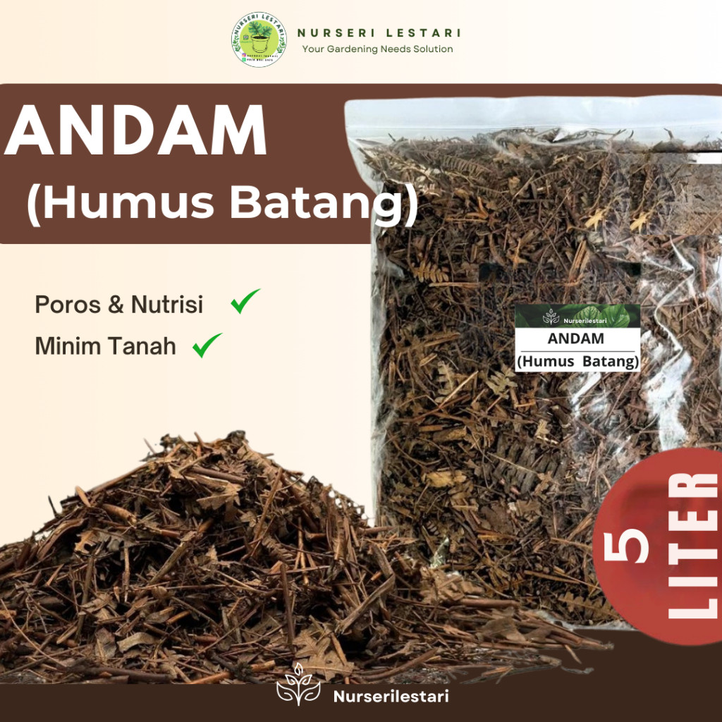 Andam Batang Humus Daun Untuk Media Tanam Tanaman Hias Aglonema Philodendron Monstera Aroid