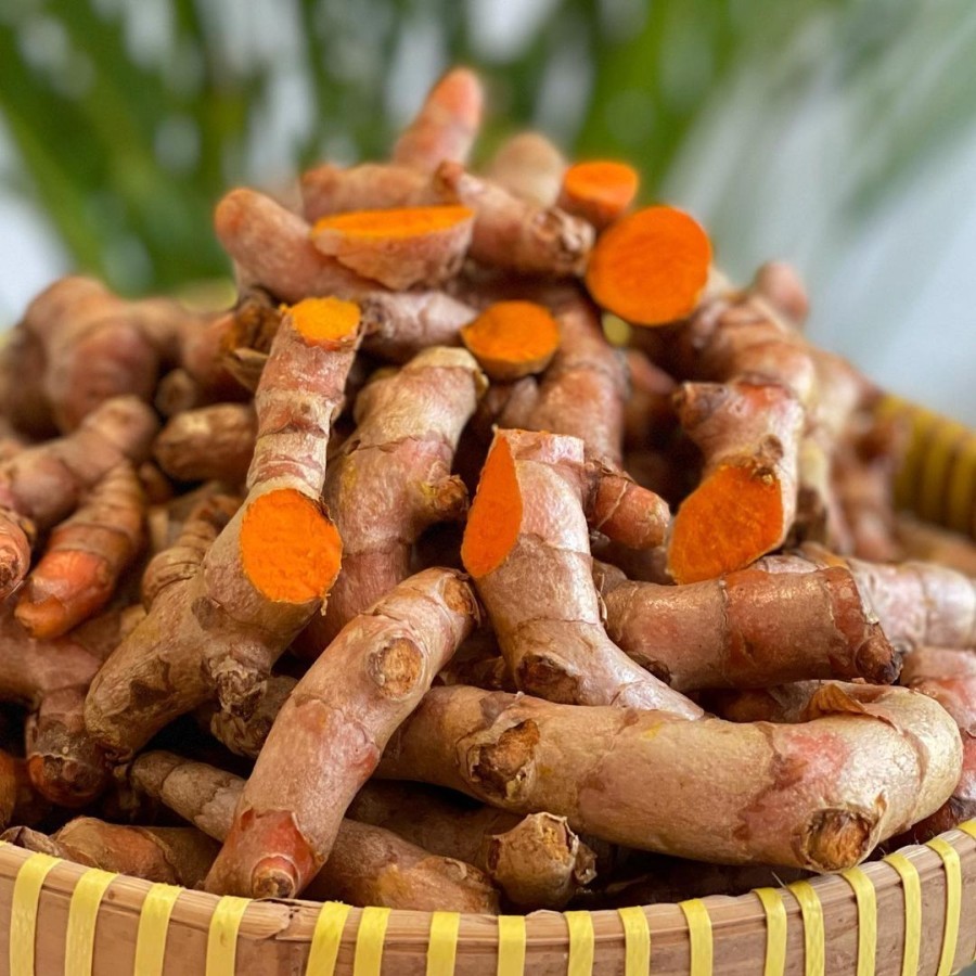 

Kunyit Masak Segar Bumbu Rempah dan Jamu 1kg Bersih